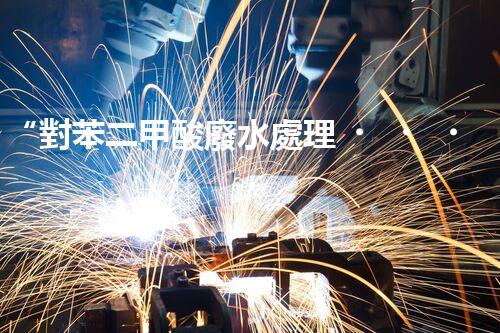 “對苯二甲酸廢水處理，綠色創(chuàng)新引領(lǐng)環(huán)保新篇章”